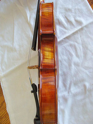 Snow Brand Violin